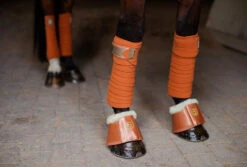 Equestrian Stockholm Fleece Bell Boots Bronze Gold -Saddle Shop bronze gold bandages equestrian stockholm 3 webb 886c9195 f21c 4acc 8c0d e1749a12f076