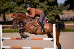 Equestrian Stockholm Jump Saddle Pad Bronze Gold 6 Equestrian Stockholm Jump Saddle Pad Bronze Gold -Saddle Shop bronze gold showjumppadd equestrian stockholm 3 webb