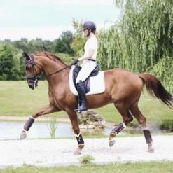 Kentucky Leather Brushing Boots Brown 5 Kentucky Leather Brushing Boots Brown -Saddle Shop c e8502ded370e565d04389cf2c54c4715 article photobook crop 5