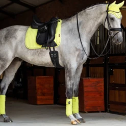 LeMieux Classic Bandages Kiwi 5 LeMieux Classic Bandages Kiwi -Saddle Shop carbonmeshboots 5 86507dcc 6f71 422d 88b3 b16872969980