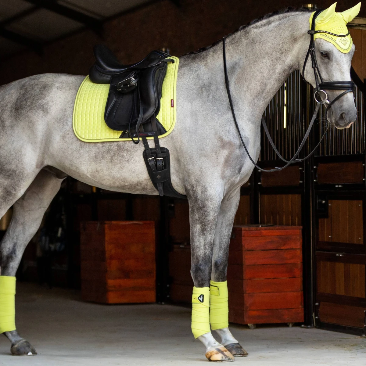 LeMieux Classic Bandages Kiwi 3 LeMieux Classic Bandages Kiwi - Image 3