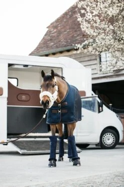 Kentucky Sheepskin Shipping Halter Natural 8 Kentucky Sheepskin Shipping Halter Natural -Saddle Shop de1c07ee2cf6996d4a372aeab15faad108cbcd3db85ee20b178885e3c2a7bdba 3e71bd80 be38 45e7 90c5 9a13c1af2298