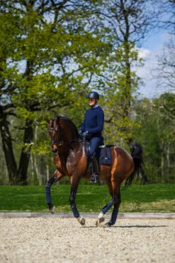 Equestrian Stockholm Dressage Saddle Pad Navy No Boundaries -Saddle Shop dressage saddle pad leather deluxe 4