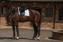 Equestrian Stockholm Bandages White Perfection Silver -Saddle Shop dressage saddle pad white perfection silver
