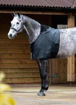 LeMieux Anti Rub Bib