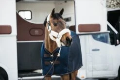 Kentucky Sheepskin Shipping Halter Natural 7 Kentucky Sheepskin Shipping Halter Natural -Saddle Shop e502eeee525627a4b4770730a9ccef20815376a242648637c9a57b52f66e6c49