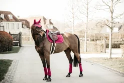 Kentucky Velvet Jump Saddle Pad Fuchsia -Saddle Shop e9ad00463a98c8f45fa693db15e9d7713521197522e91ac4fcd6c62ac9f511c5