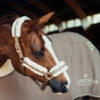 Equestrian Stockholm Fleece Headcollar & Lead Champagne