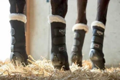 LeMieux Luxury Stable Boots Black 5 LeMieux Luxury Stable Boots Black -Saddle Shop image 184fed22 18a3 4964 bdf8 6d47efcb4061