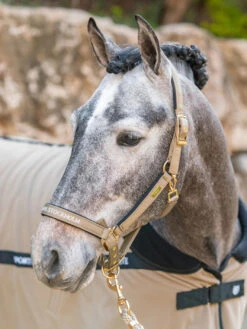 Equestrian Stockholm Fleece Headcollar & Lead Sportive Chantelle