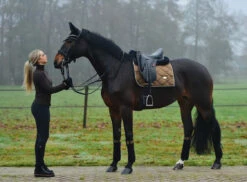 Equestrian Stockholm Dressage Saddle Pad Golden Brass -Saddle Shop image bbb50246 81ff 40d5 a40e 34c35107ed6b