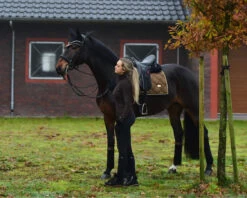 Equestrian Stockholm Dressage Saddle Pad Golden Brass -Saddle Shop image c4643e18 4148 4e6b a925 ac6098d8b2ca