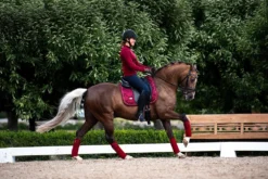 Equestrian Stockholm Dressage Saddle Pad Bordeaux -Saddle Shop image dadc7d8f 8d21 4092 8a4d 7b675042c0b1