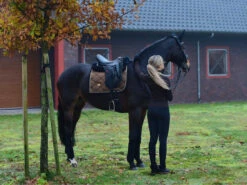 Equestrian Stockholm Dressage Saddle Pad Golden Brass -Saddle Shop image dafc7067 4357 43ad 8ec6 936b2ce65fd4