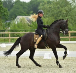 Equestrian Stockholm Dressage Saddle Pad Golden Brass -Saddle Shop image e4b15a77 aa21 47eb 8166 9e7b6012e4cf