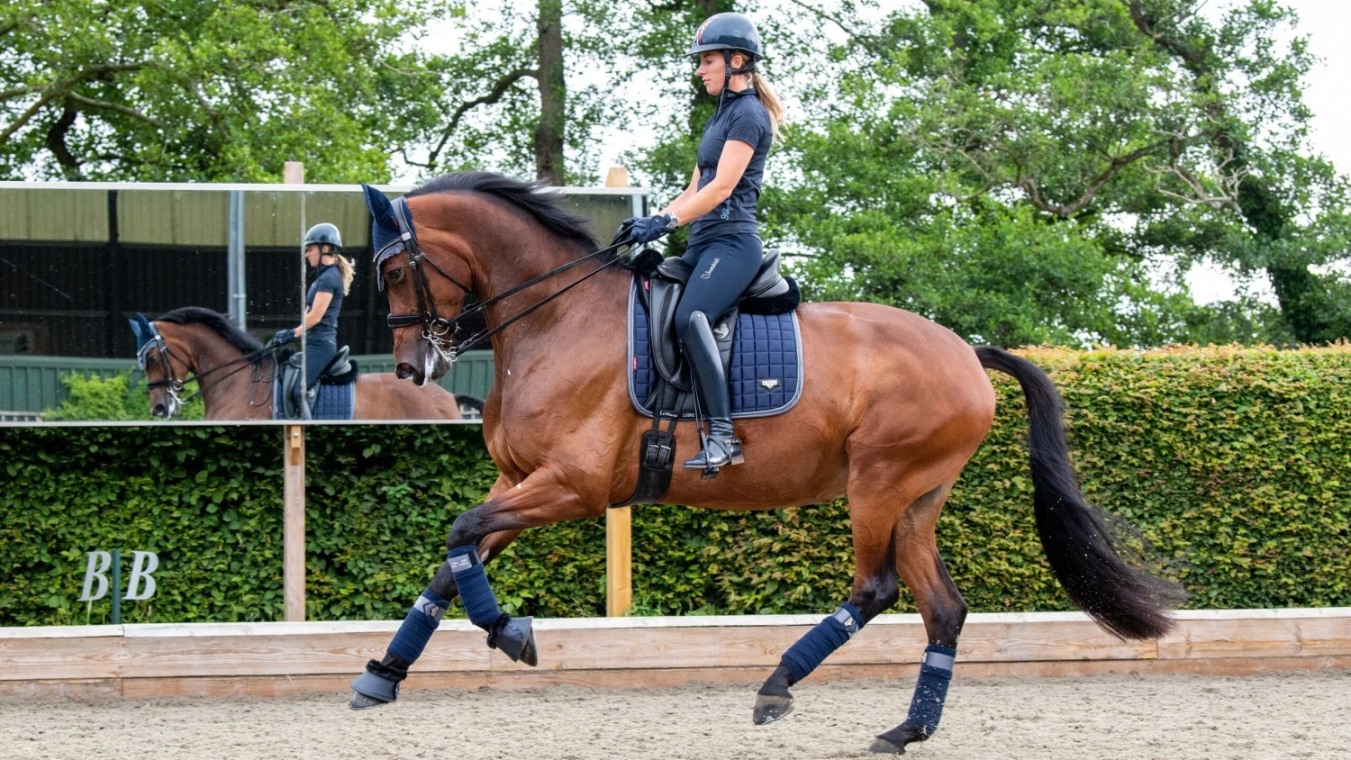 LeMieux Loire Classic Dressage Saddle Pad Twilight Navy 2 LeMieux Loire Classic Dressage Saddle Pad Twilight Navy - Image 2