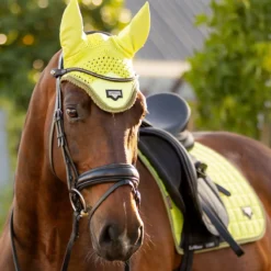 LeMieux Loire Classic Dressage Saddle Pad Kiwi -Saddle Shop lemieux 11 0a82d741 d24b 49cb b221 c8ec348abe56