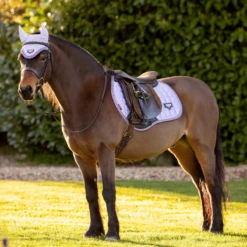 LeMieux Junior Loire Ear Bonnet Wisteria -Saddle Shop lemieux 16 0da11cea 8d28 4bb8 985e d1a29f4c305e