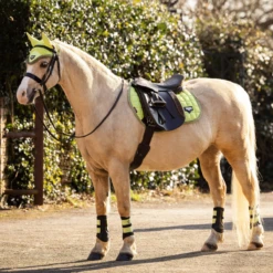 LeMieux Junior Loire Ear Bonnet Kiwi -Saddle Shop lemieux 17 badb5ccd aa0e 4de3 986d bbbbb1dd1a46