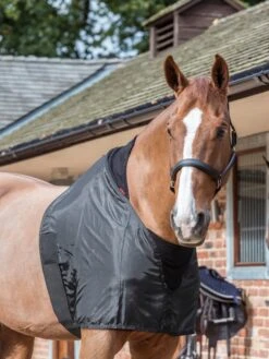 LeMieux Anti Rub Bib -Saddle Shop lm antirubbib1 hr3000x4000 2 scaled