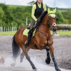 LeMieux Base Layer Kiwi -Saddle Shop lm baselayer kiwi5 hr 4