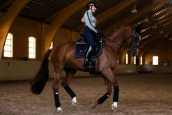 Equestrian Stockholm Dressage Saddle Pad Luminous Black 8 Equestrian Stockholm Dressage Saddle Pad Luminous Black -Saddle Shop luminous black dressage saddle pad dressyrschabrak dressurschabracke dressuur zadeldekje on3