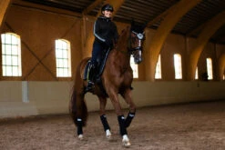 Equestrian Stockholm Ear Bonnet Luminous Black -Saddle Shop luminous black ear net huva fliegenhaube oornetje on2