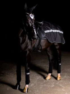 Equestrian Stockholm Exercise Rug Luminous Black -Saddle Shop luminous black exercise rug landtacke trainingsdecke training deken block 2 2 6cccf123 9e6e 49d0 b6e1 d639f100735c