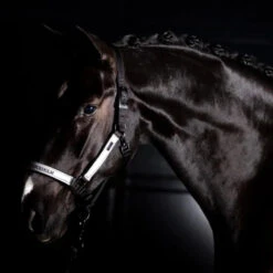 Equestrian Stockholm Halter & Lead Rope Luminous Black