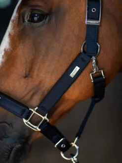 Equestrian Stockholm Clean Halter & Lead Rope Modern Tech Navy -Saddle Shop modern tech navy halter grimma halfter halster on1