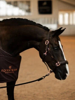 Equestrian Stockholm Anatomic Leather Halter Moonless Night