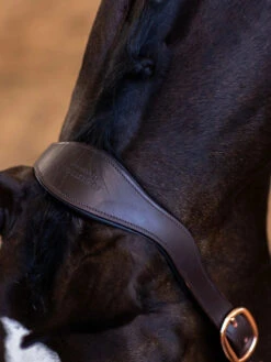 Equestrian Stockholm Anatomic Leather Halter Moonless Night -Saddle Shop moonless night halter laedergrimma lederhalfter halster on2