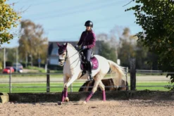 Equestrian Stockholm Dressage Saddle Pad Purple Gold -Saddle Shop purple gold cob set esstockholm scaled