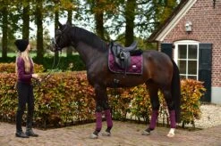 Equestrian Stockholm Bandages Purple Gold -Saddle Shop purple gold fleece bandages equestrian stockholm 3