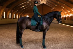 Equestrian Stockholm Dressage Saddle Pad Sycamore Green -Saddle Shop sycamo1