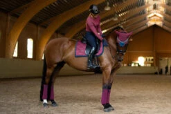 Equestrian Stockholm Dressage Saddle Pad Timeless Rose -Saddle Shop timele4