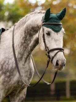 LeMieux Classic Ear Bonnet Spruce 5 LeMieux Classic Ear Bonnet Spruce -Saddle Shop tracyrobertson aw23 188 copy scaled