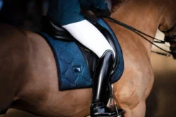 Equestrian Stockholm Elite Dressage Breeches White -Saddle Shop whitebelite breeches dressage ridbyxa dressur reithosen rijbroek dressuur on3